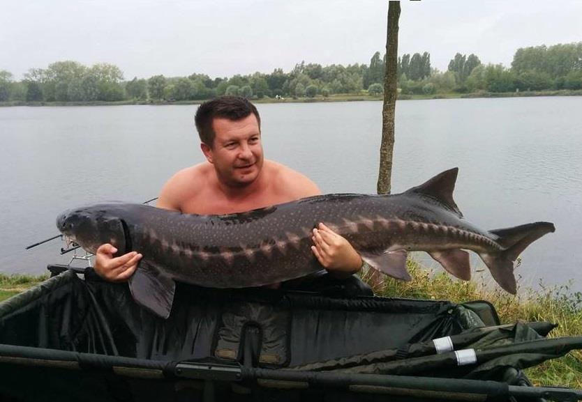 Morun de 35,5 kg prins la aluna tigrata